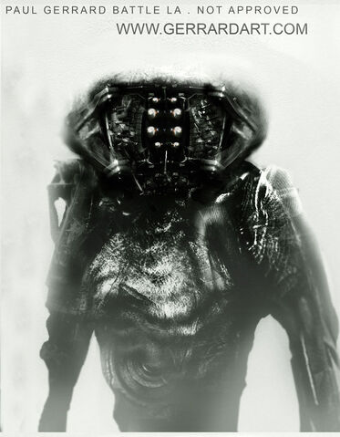 File:Head5.jpg