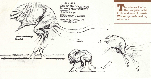 File:Gill-Head.png