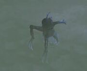 Hermipterian Grenadier
