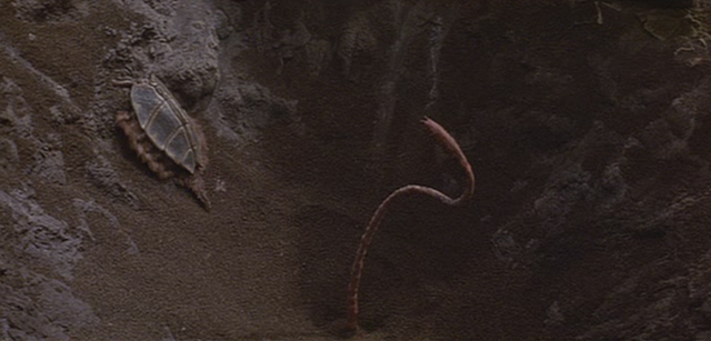 File:Fyrine ambush2.png