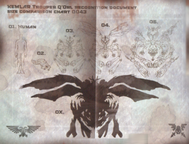 File:Q'orl.png