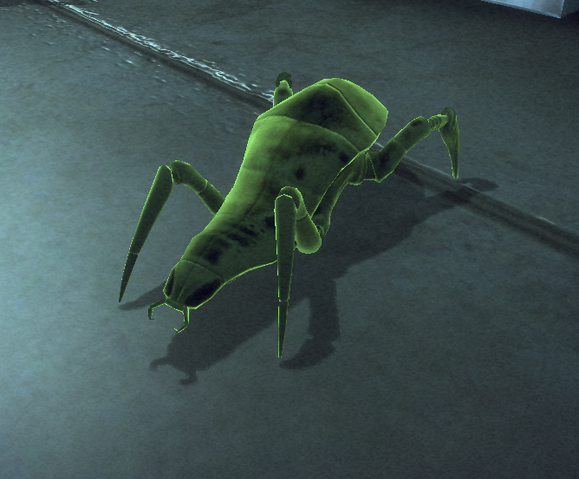 File:Rachni Worker.png