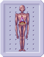Etherealautopsy