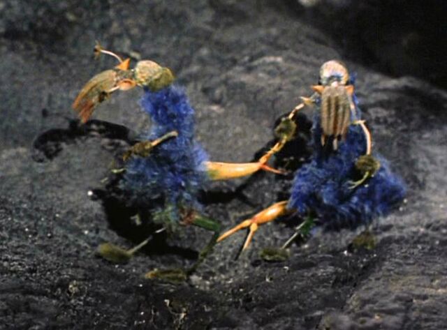 File:Ornithoid Lifeforms.jpg