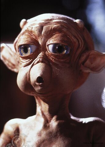 File:Mac and Me.jpg