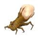 Harvester