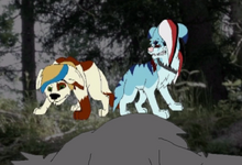 Ep6-1
