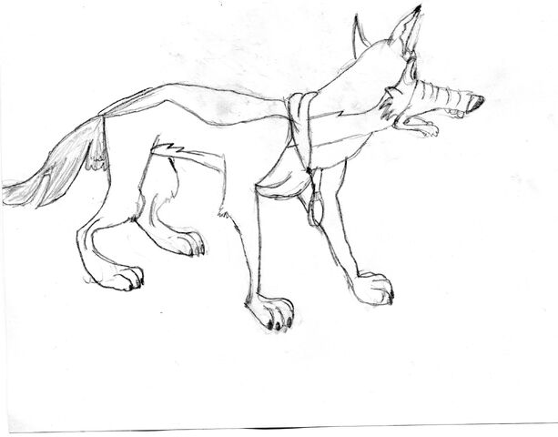 File:Img024.jpg