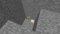 Whats-In-The-Hole