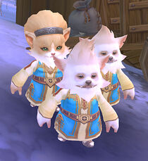 Dashing Family