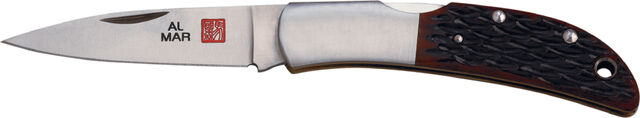 File:Hawk.jpg
