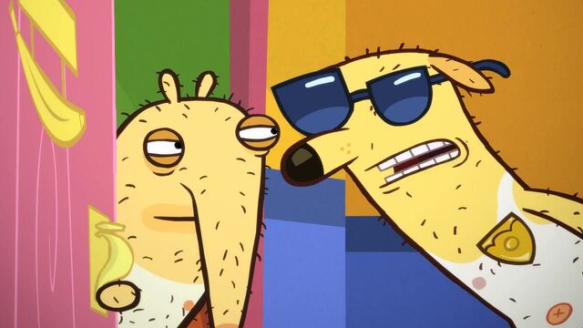 File:Cool Paw Howie (60).jpg