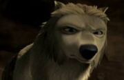 Winston pic