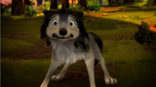 File:What-is-poor-Humphrey-scared-of-alpha-and-omega-16877231-855-480.jpg