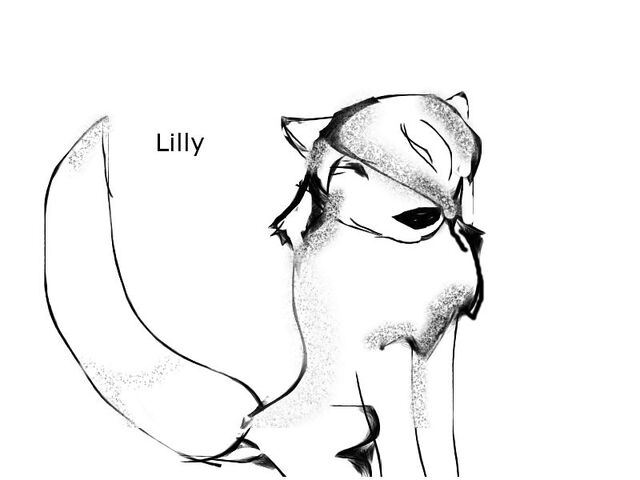 File:Lilly fanart LF.jpg