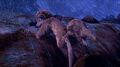 Thumbnail for version as of 01:30, March 1, 2013