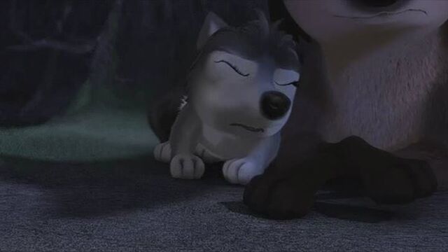 File:Runt (8).jpg