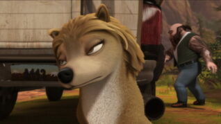 She-looks-bored-unimpressed-I-don-t-know-XD-alpha-and-omega-37532541-500-281