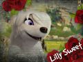 Thumbnail for version as of 12:10, October 6, 2013