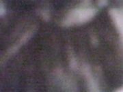 MPEG0364 0001