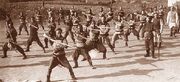 Sty-Qing Dynasty troop
