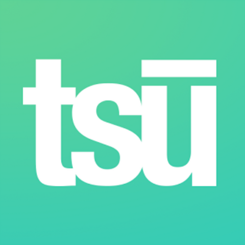 Fájl:Teesu logo.png