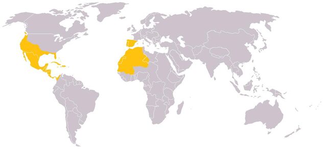 File:Spaniards!.jpg