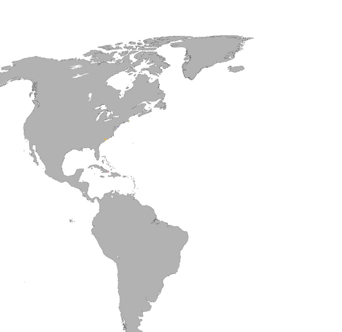 File:1600summcolonis2.png