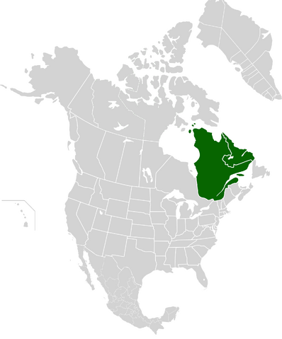 File:AMP Map of Canadian Republic VIII.png