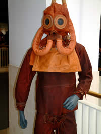 Diving model