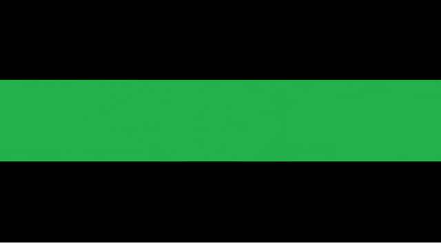 File:TATMRUSICAFLAG.png