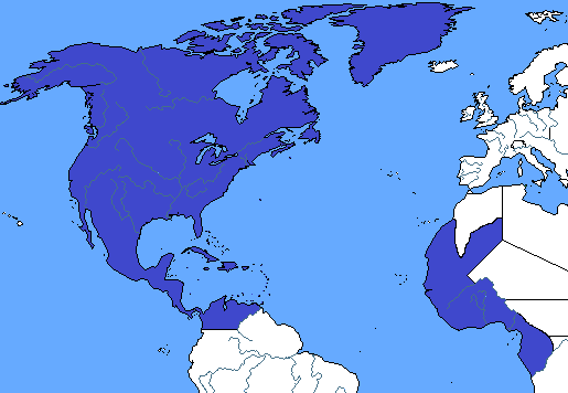 File:USA TFCN.png