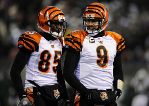CarsonPalmer ChadJohnson