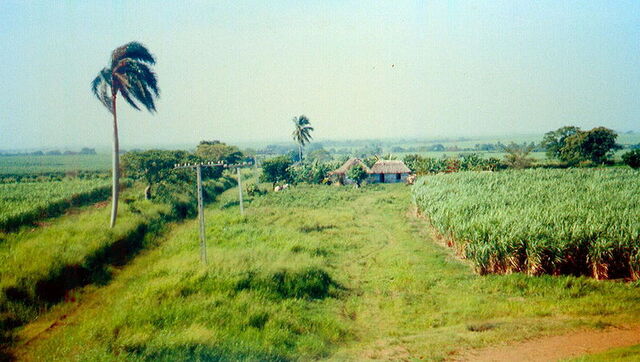 File:Cuban Plantation.jpg
