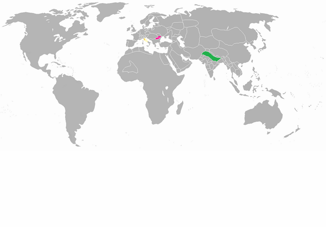 File:1491.png
