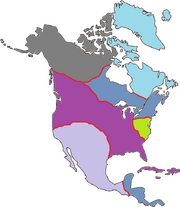 Romae Occidentali