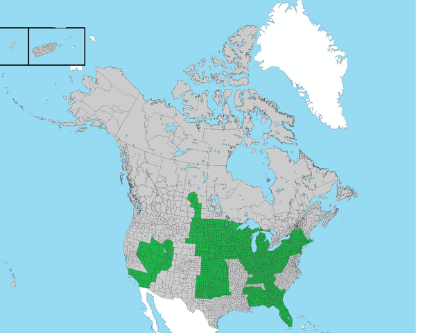 File:Alt map of us.png