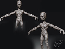 Grey Alien