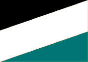 FlagofTyumen(LR)