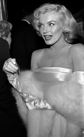 File:Marylin Kennedy Campaign.jpg