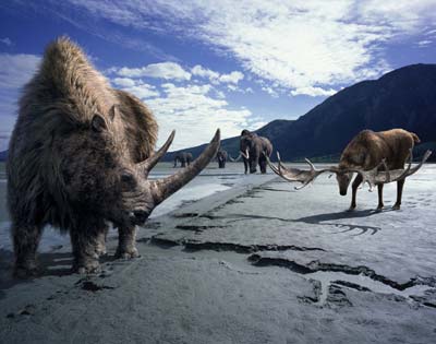 File:Woolly Monoceros.jpg