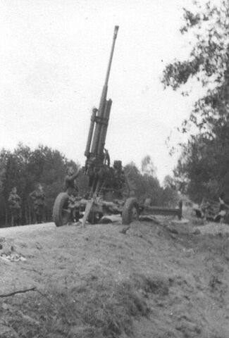 File:85mm Rus AA.jpg