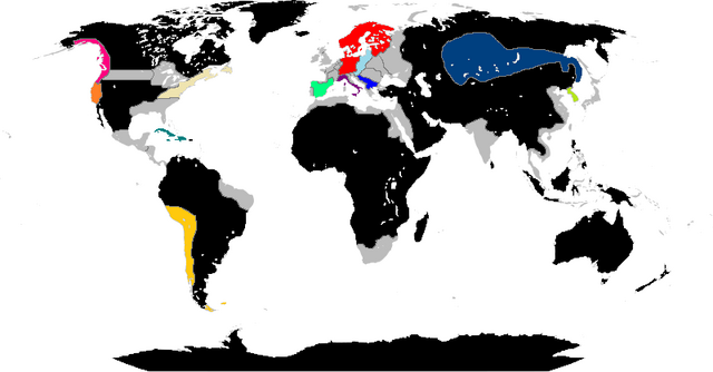 File:Jkhgfdhg5.png