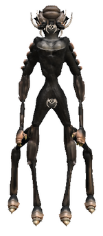 Ahk