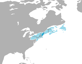 File:New Hampshire.png