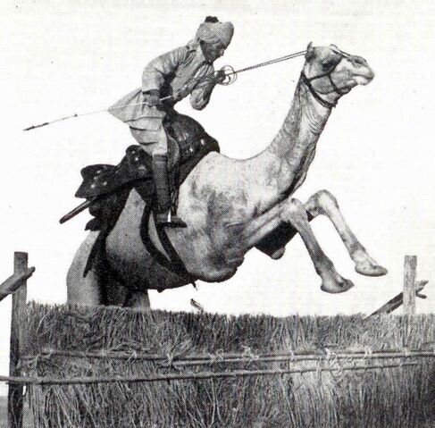 File:GangaSingh.jpg