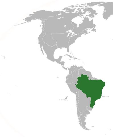File:SV-BrazilMap.png