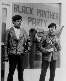 BlackPanthers.jpg