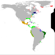 1536 - Americas