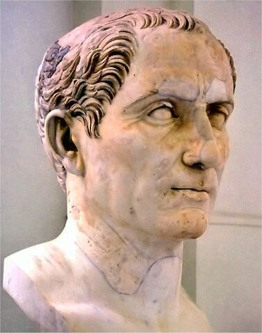 File:Carinus.jpg